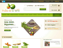 Tablet Screenshot of fruitsdelaterre.com